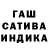 ГАШ гарик Sofia Vasilevskaya