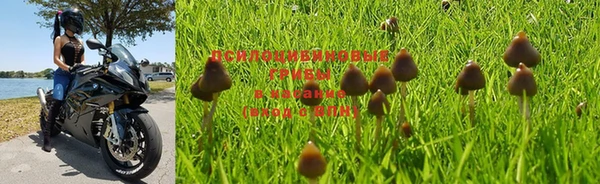 каннабис Киренск