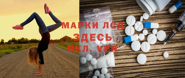 винт Алзамай
