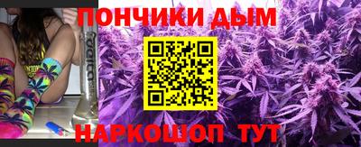 стафф Гатчина