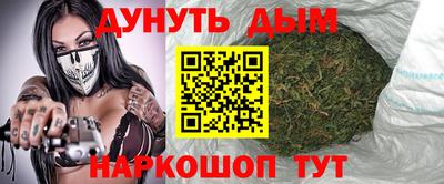 стафф Гатчина