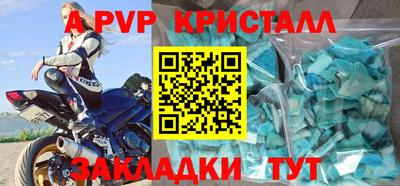 стафф Гатчина