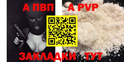 стафф Гатчина