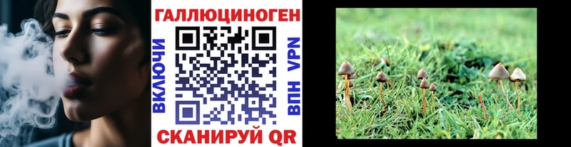 Псилоцибиновые грибы ЛСД Новоуральск