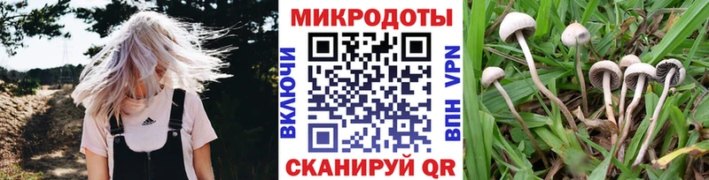Псилоцибиновые грибы Psilocybe  дарнет шоп  Новоуральск 