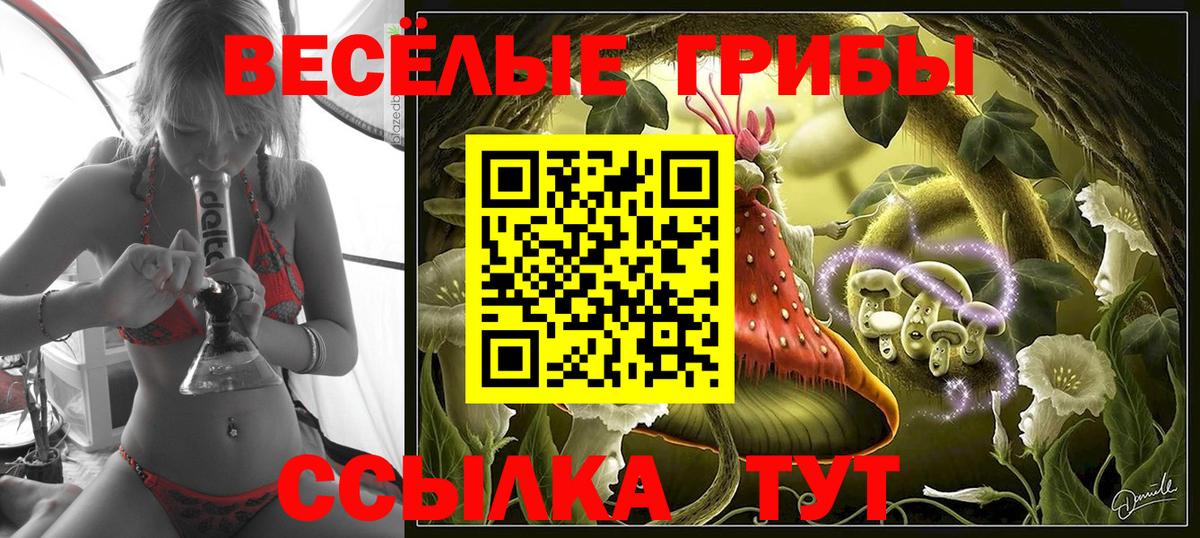Псилоцибиновые грибы Psilocybe Новоуральск
