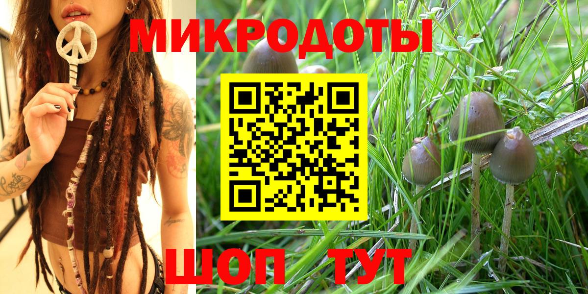 Новоуральск  Галлюциногенные грибы Magic Shrooms  Вход с VPN 